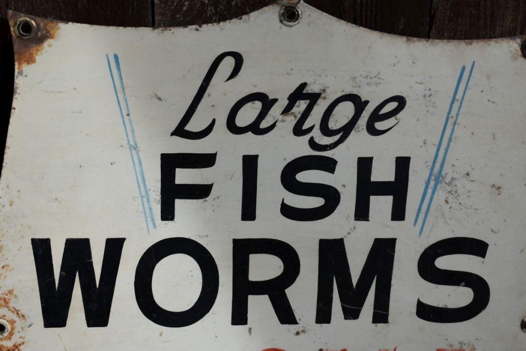 WORMS FOR SALE NEW ENGLAND COKE TWO SIDED METAL