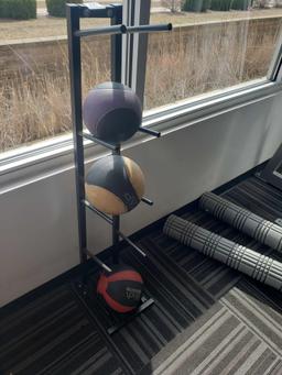 Medicine Ball Stand and Medicine Balls