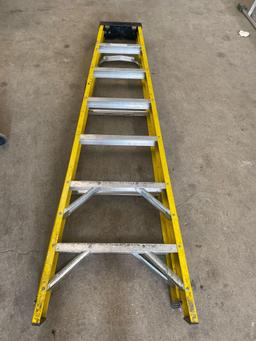 Stanley Ladder