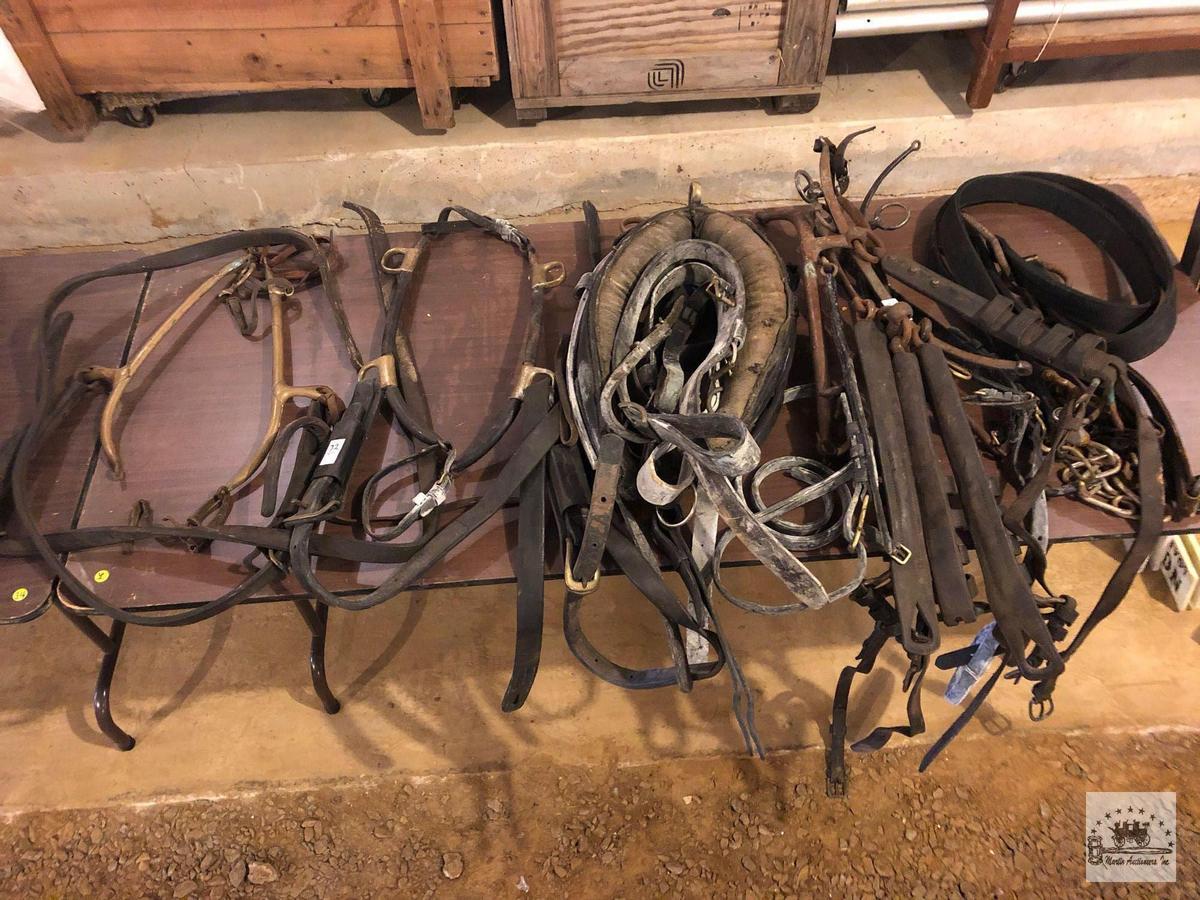 Assorted Harness