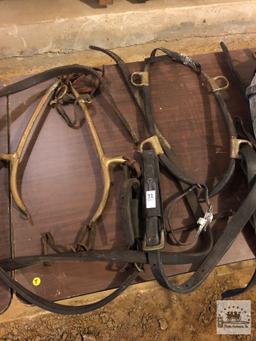 Assorted Harness