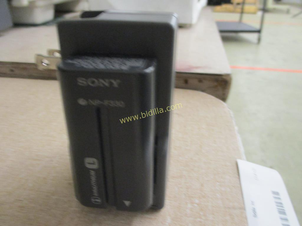 Sony Battery Charger w/ (2) Batteries BC-V500.