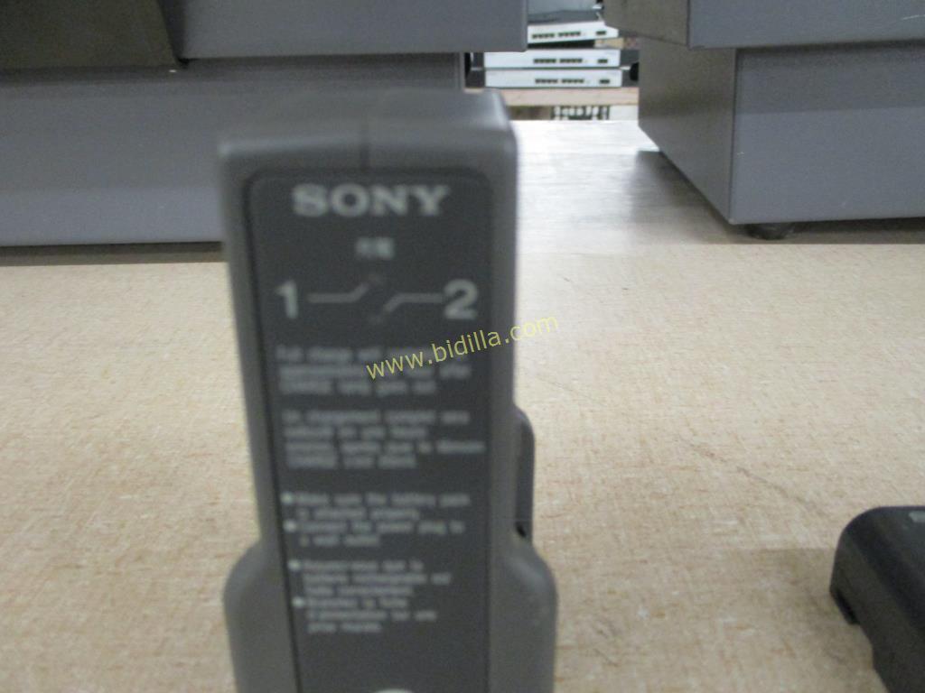 Sony Battery Charger w/ (2) Batteries BC-V500.