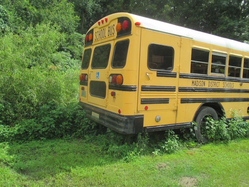 1995, Blue Bird, International, School Bus,