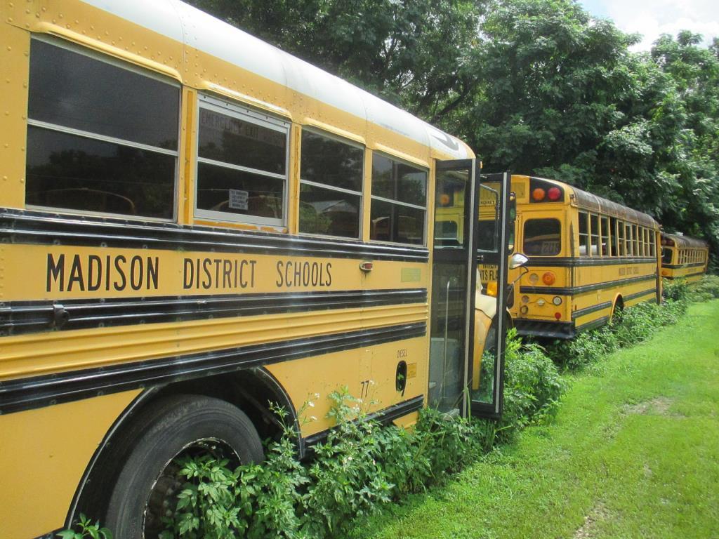 1995, Blue Bird, International, School Bus,