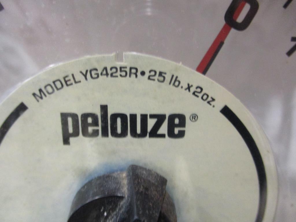 Pelouze Portion Scale YG425R.