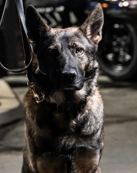 Reno Police Department K9 Unit