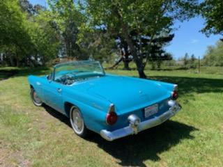 1956 Ford Thundebird Hardtop  Convertible