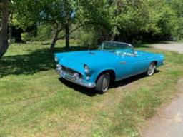 1956 Ford Thundebird Hardtop  Convertible