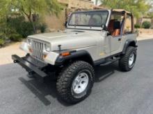 1995 Jeep Wrangler Rio Grande Custom SUV