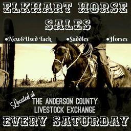 Elkhart Horse Sales