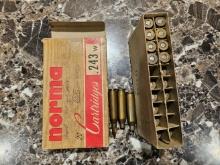Norma .243w 75 Grain Hollow Point Ammo