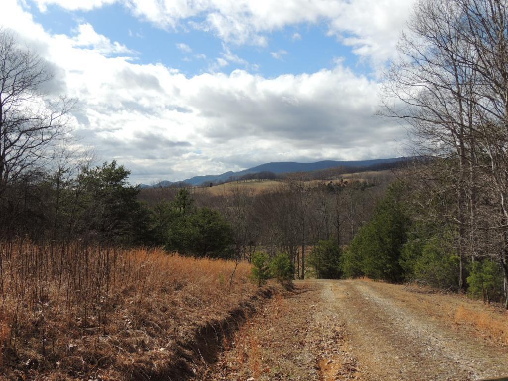 Stunning 35 Acres on Sinking Creek