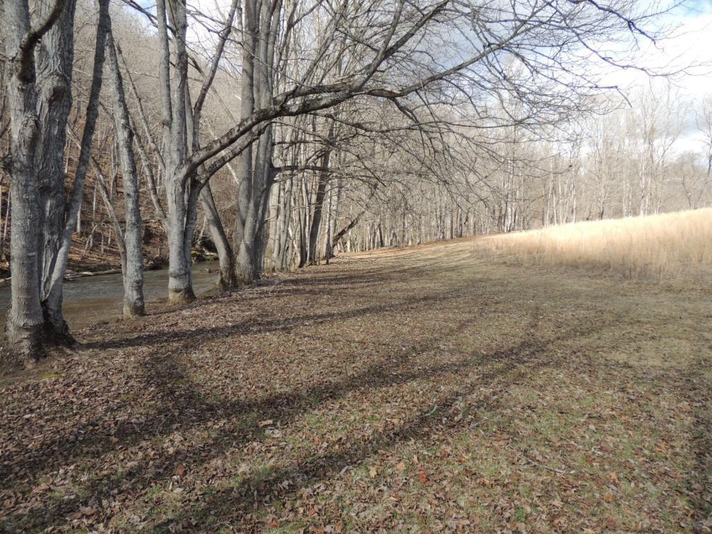 Stunning 35 Acres on Sinking Creek