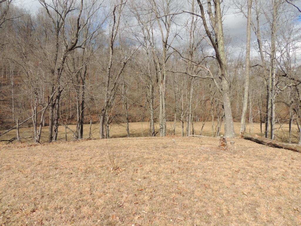 Stunning 35 Acres on Sinking Creek