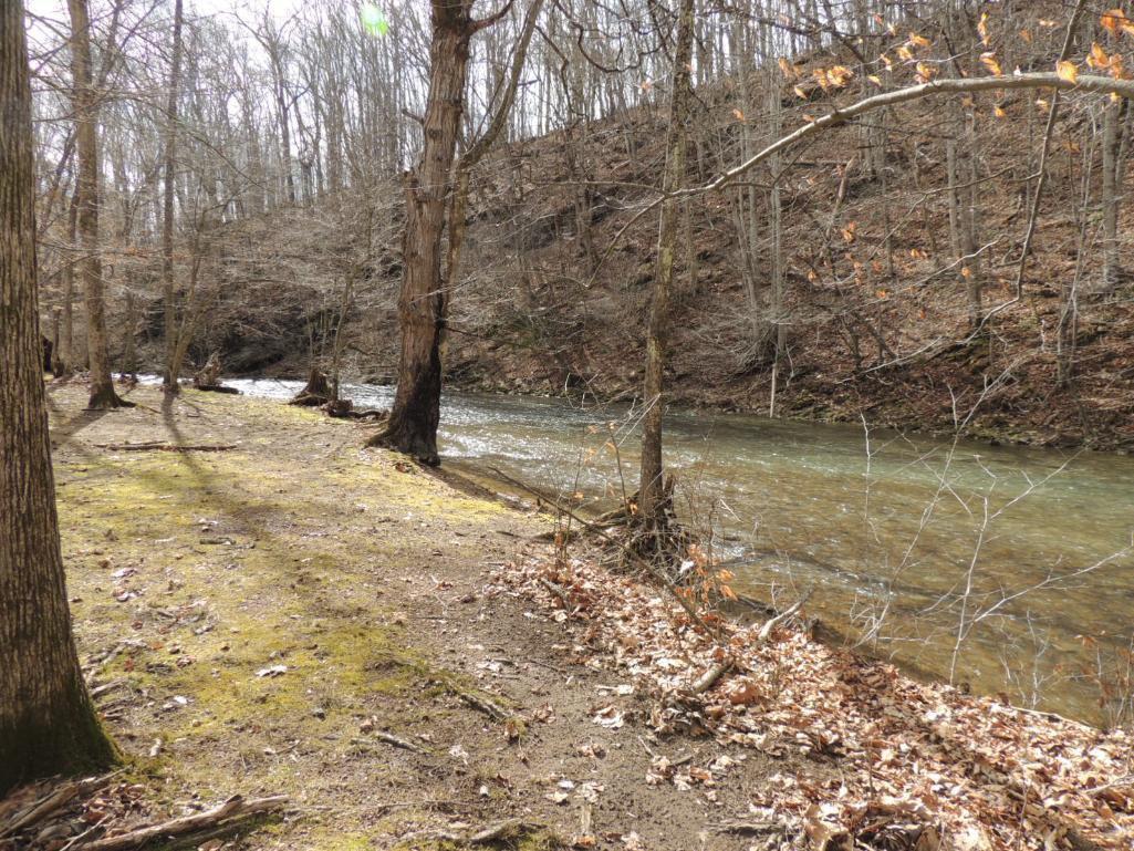 Stunning 35 Acres on Sinking Creek