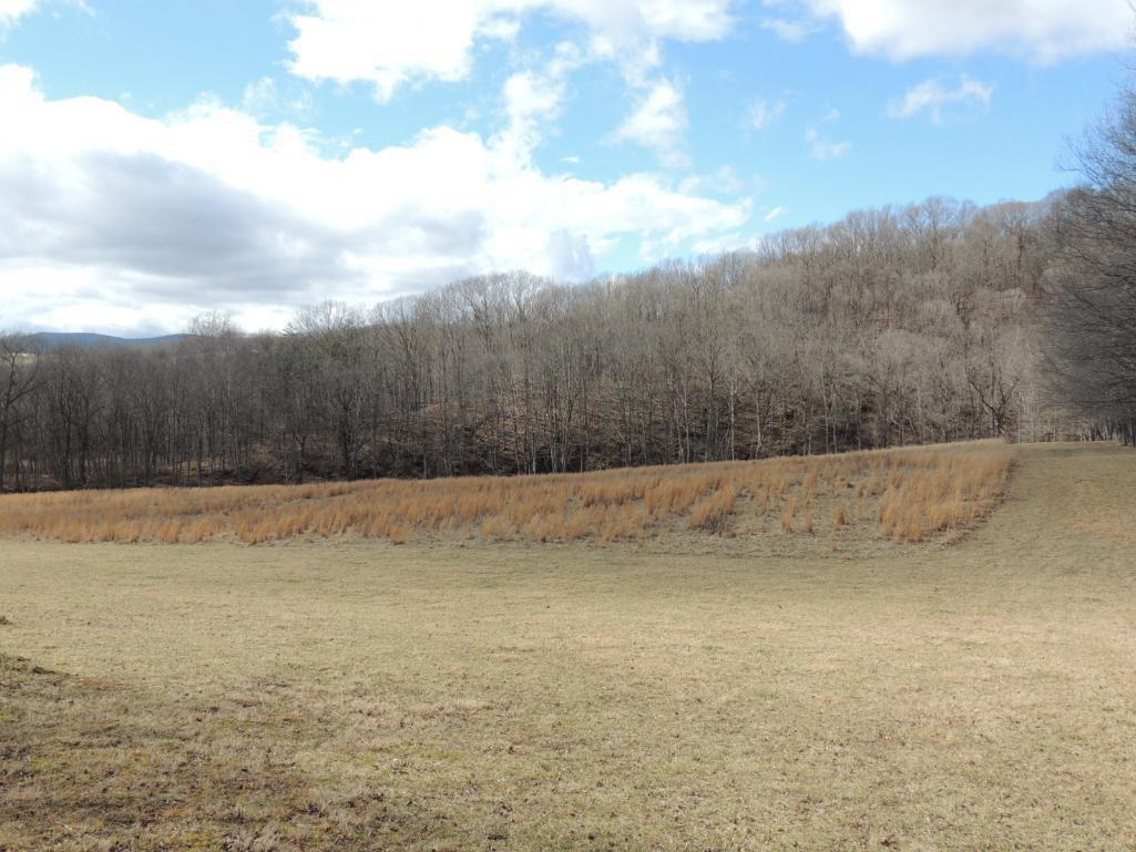 Stunning 35 Acres on Sinking Creek