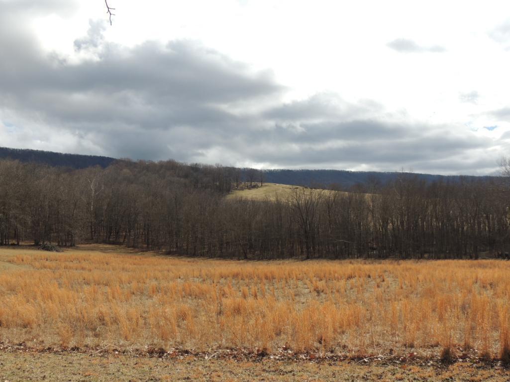 Stunning 35 Acres on Sinking Creek