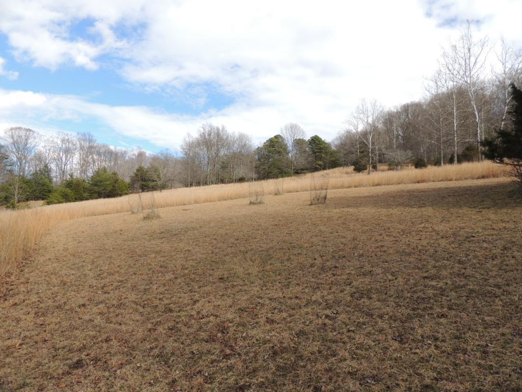 Stunning 35 Acres on Sinking Creek