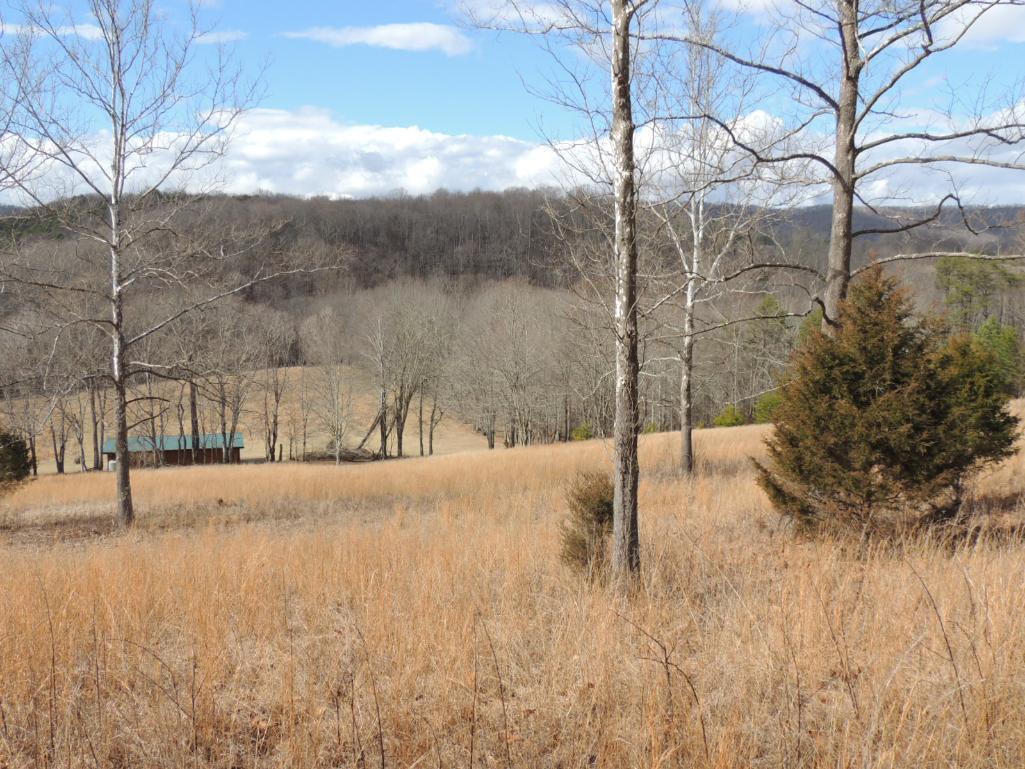 Stunning 35 Acres on Sinking Creek