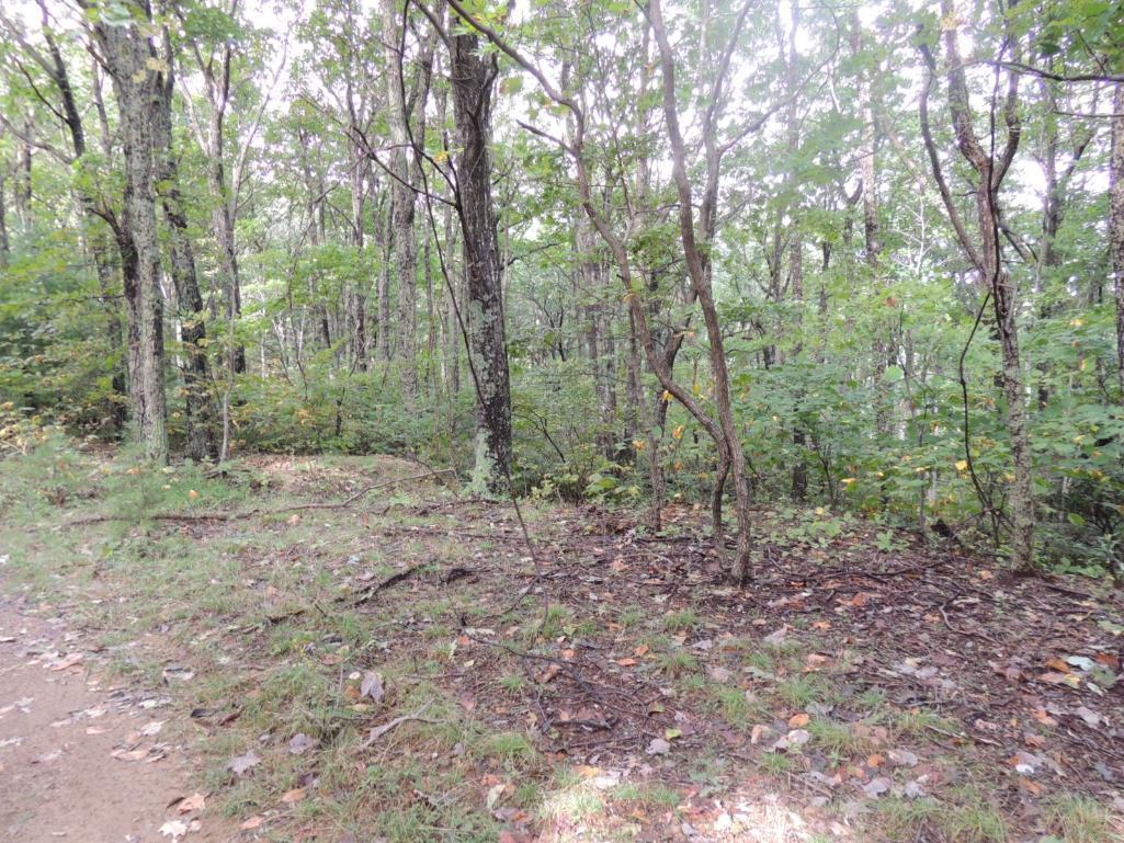 50 Acres on Poor Mountain Road