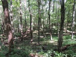 24 Acres of Recreational Land with Potential Home Sites