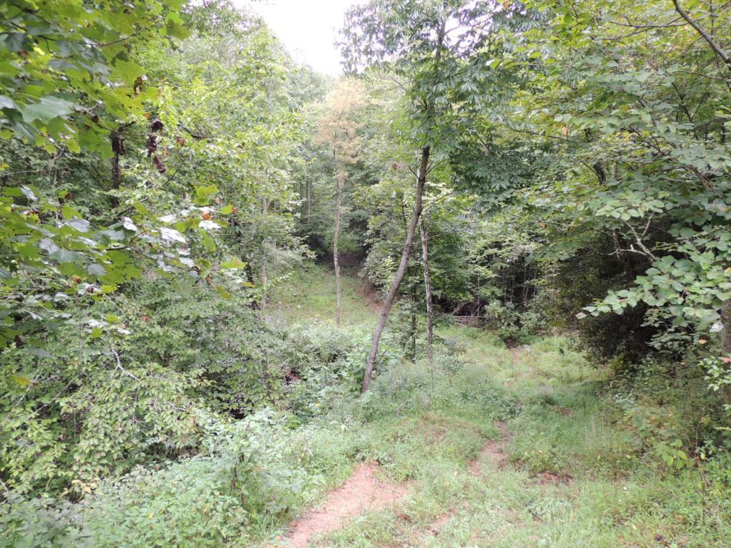 100 Acres of Recreational Land in Russell County, Virginia