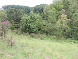 100 Acres of Recreational Land in Russell County, Virginia