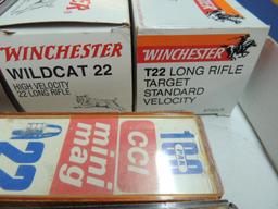 Large Lot of 22 LR Ammo