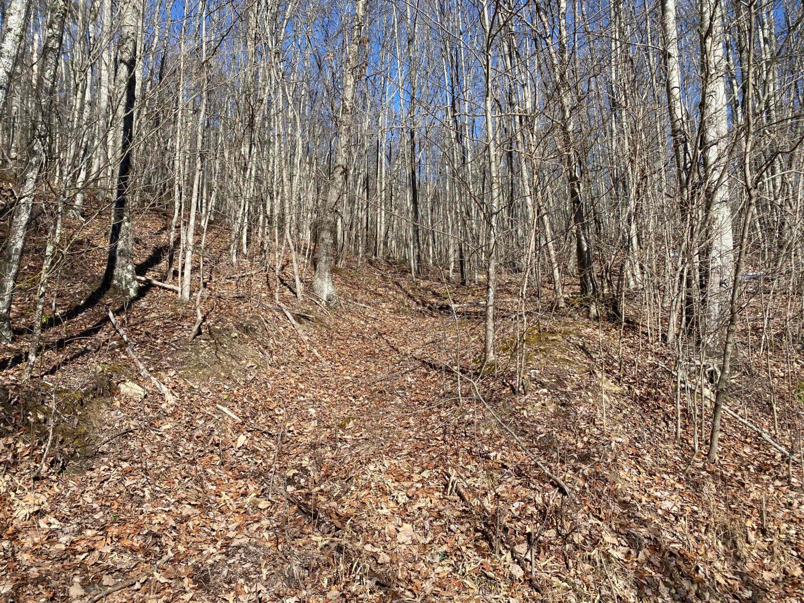 73 Acres Wooded Recreational Land