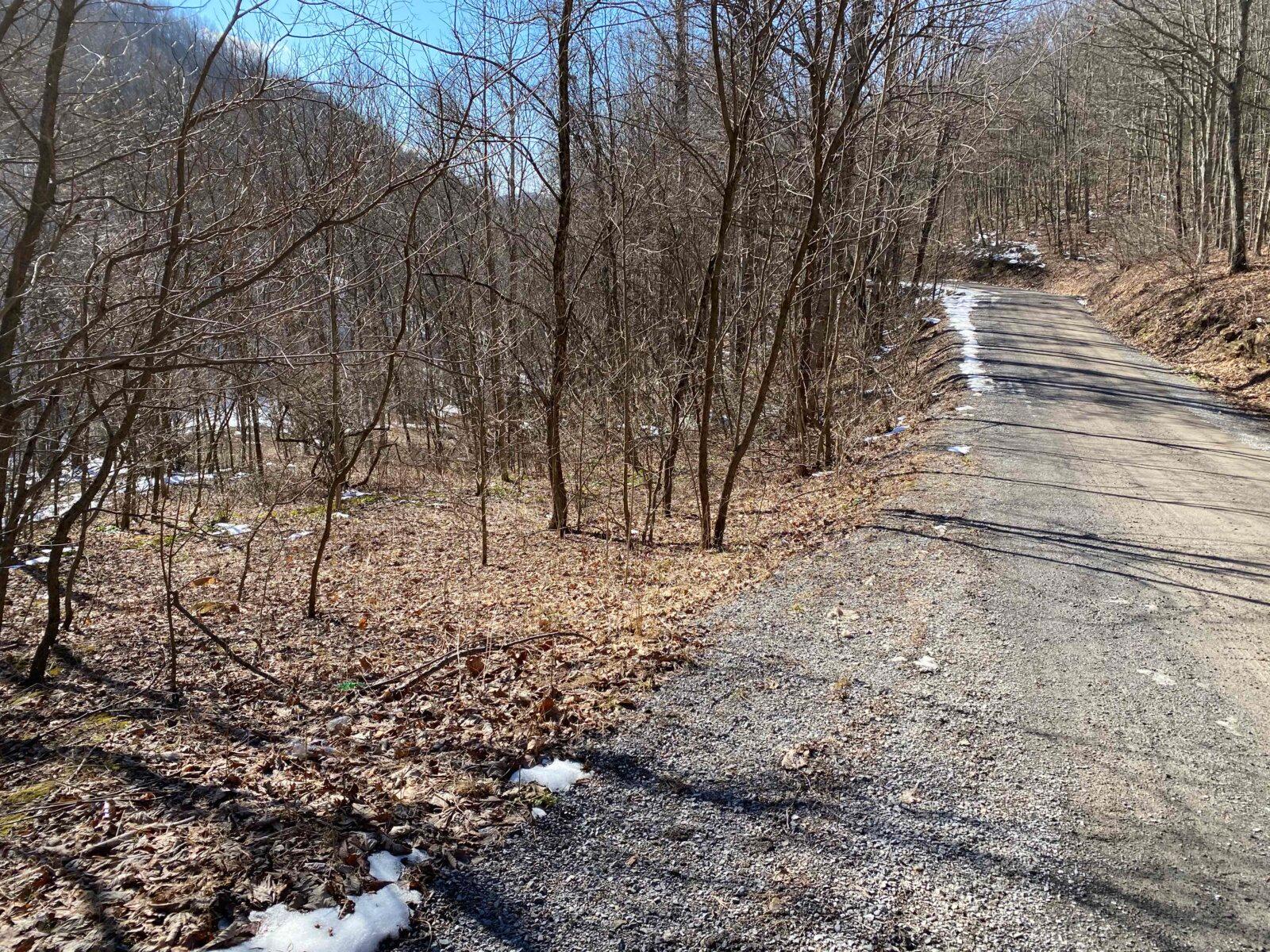 73 Acres Wooded Recreational Land