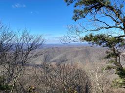 73 Acres Wooded Recreational Land