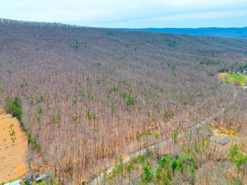8.33 Acres on Dicks Creek in Newcastle, VA -adjoining the National Forest