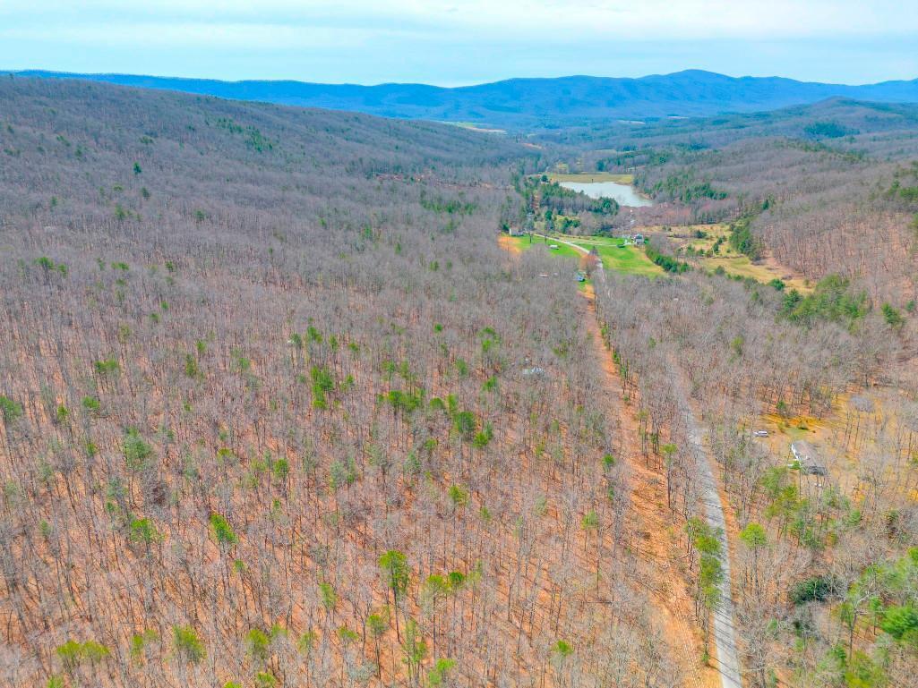 8.33 Acres on Dicks Creek in Newcastle, VA -adjoining the National Forest