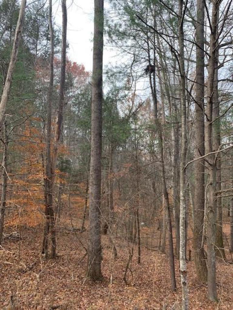 1.52 Acre of Ideal Building Lot with Water Access at Smith Mountain Lake