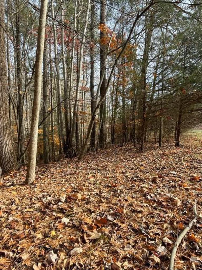 1.52 Acre of Ideal Building Lot with Water Access at Smith Mountain Lake