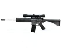 Professional Ordinance Inc., Carbon-15, 5.56MM Caliber Rifle