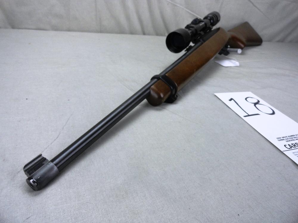 Ruger 10-22, .22LR w/Bushnell 3x9 Scope, SN:24584588