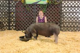 Abigail  Miller Swine Tag #33, Weight: 269lbs