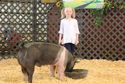 Amber Ochs Swine Tag#47, Weight: 230lbs