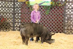 Kaleigh Reinert Swine Tag#15, Weight: 250lbs