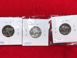 (3) 1920 & 1930 Buffalo Nickels (x1)