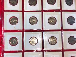 (20) Buffalo Nickels (x1)