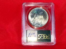 1923 Peace MS62 PCGS (x1)