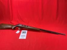 Remington 550-1, 22-Cal., NVSN