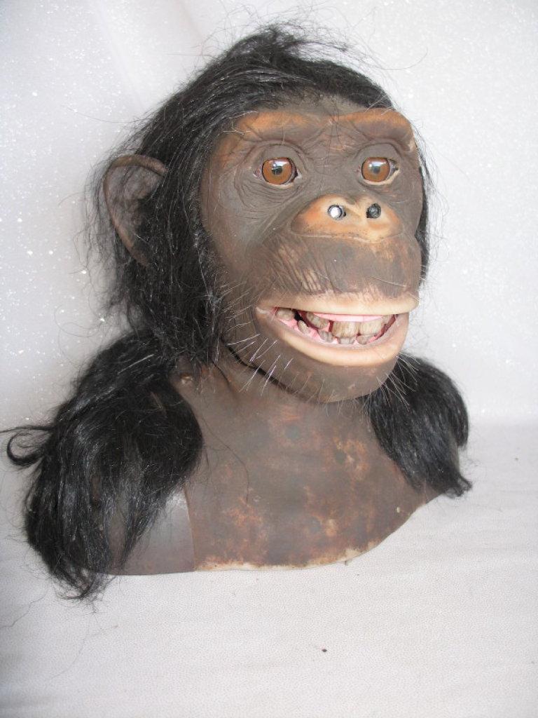 Animatronic Alive Wowee Chimpanzee 28cm with remote control and scarce user