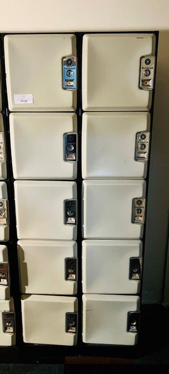 LOCKERS: 10 CUBBIES - PLEASE VIEW EACH LOT FOR CONDITION, OR ATTEND OUR PREVIEW DAY.