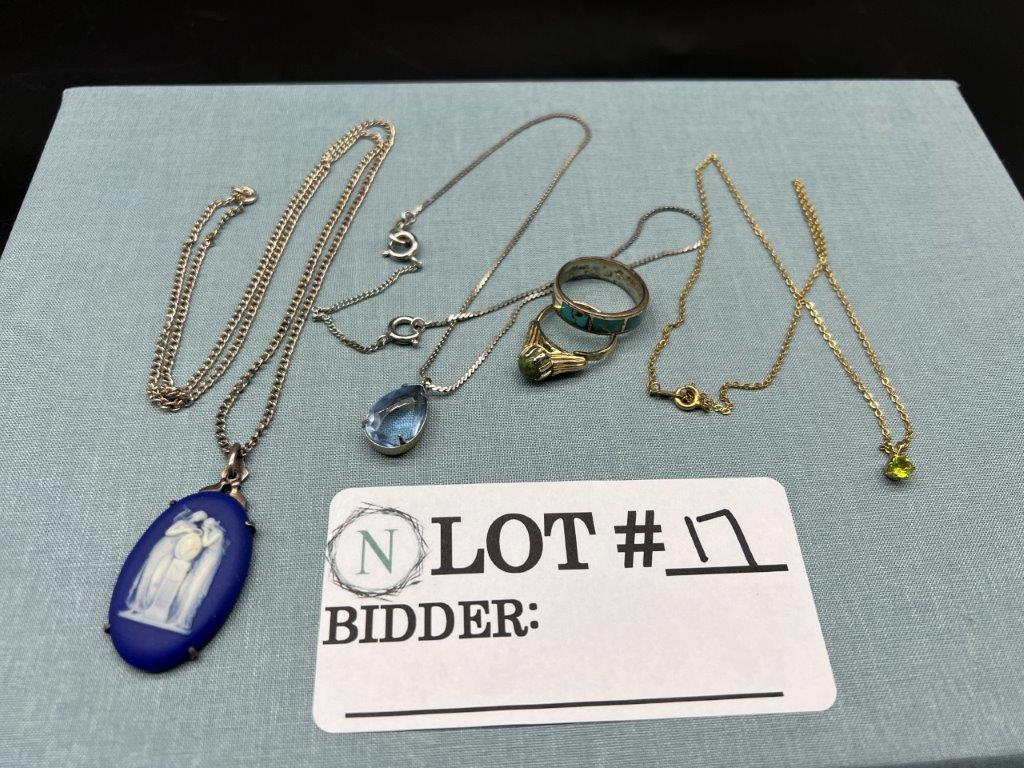 BLUE CAMEO NECKLACE LOT