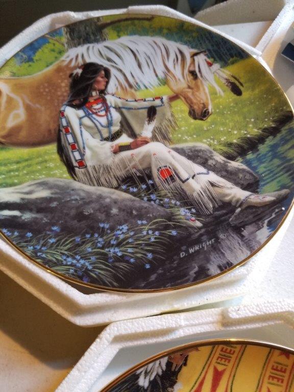 INDIGENOUS THEMED ART PLATES LOT