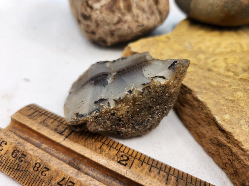 Rocks, Petrified Wood, Assortment